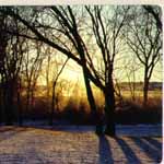 Winter Sunrise