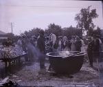 Chili Feed