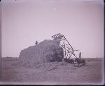 Stacking Hay