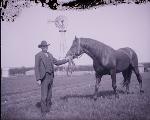 Favorite Horse