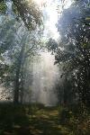 Smoke covers the trail.
