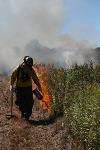 Ranger lighting Prescribed Burn
