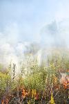 September 2007 Prescribed Burn