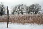 Fresh Snow on the Prairie
