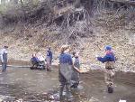 Collecting Samples