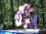 Fancy Dancer