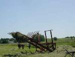 Stacking Hay