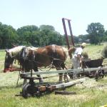 Living history demonstration for Homestead Days.