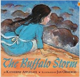 The Buffalo Storm Book
