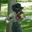 Fiddler.