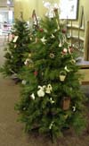 HNM holiday trees