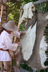 Demonstrator demonstrates how to tan a deer hide.
