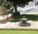 Administration Building fountain with tulips
