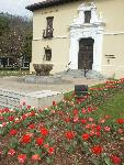 Tulips at Headquarters Building