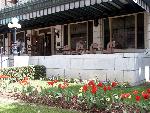 Tulips in front of park visitor center