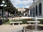 Tulips add color to Bathhouse Row