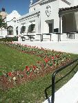 Tulips at Ozark Bathhouse