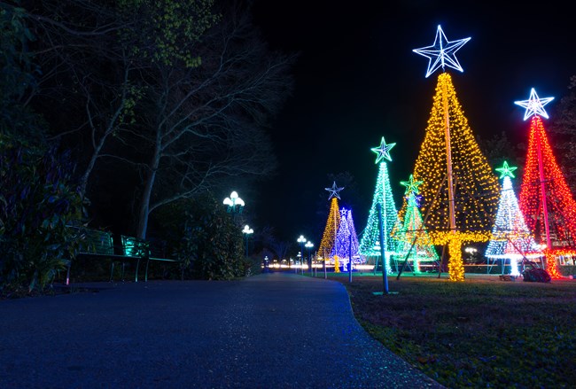 Sidewalk with trees on the left and lighted tree decorations on the right at nighttime