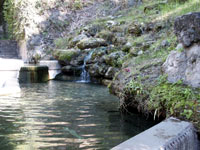 color photo of [hot spring] water flowing into a collection pool with ferns visible in the right foreground