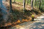 E-Igniting area to be burned