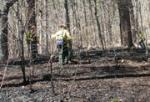 K-Fire fighters mopping up