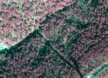Red aerial map of Hot Springs National Park, with Floral Trail highlighted in white