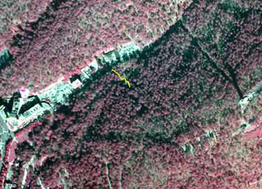 Portion of aerial infrared photo of park with Fountain Trail drawn in yellow.