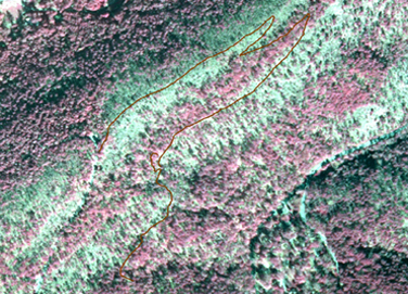 aerial infrared map with Goat Rock trail drawn in red