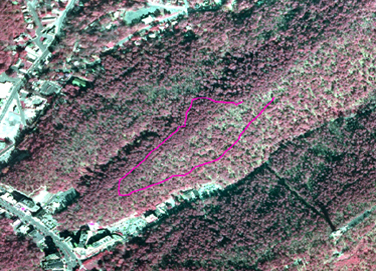Red aerial map of Hot Springs National Park with the Lower Dogwood Trail highlighted in fuschia