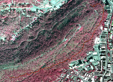 portion of infrared aerial photo of park with Oak Trail shown in dark red