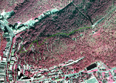 portion of infrared aerial photo of park with Peak Trail drawn in green
