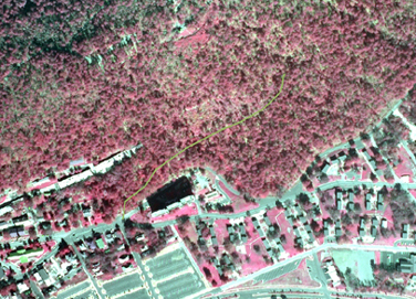 Portion of infrared aerial photo of park with Reserve Trail shown in olive green