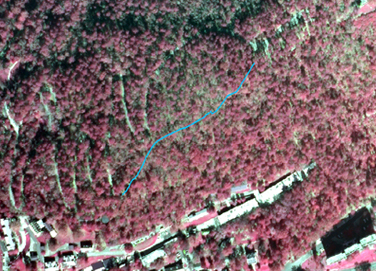 Portion of infrared aerial photo of park with Shortcut Trail shown in blue