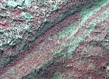 Red aerial map of Hot Springs National Park, Arkansas with the Upper Dogwood Trail highlighted in pink