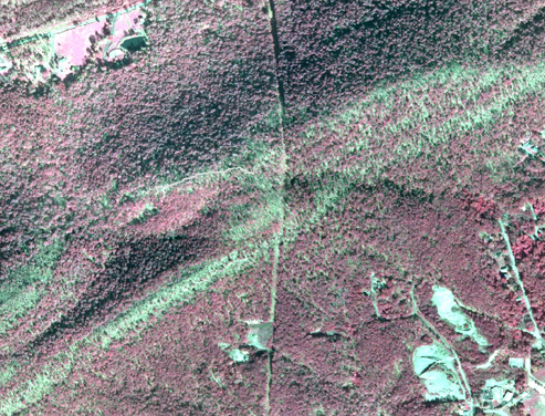 section of infrared aerial photo of park with Balanced Rock Trail drawn in