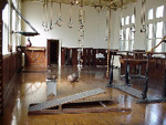 color photo of the Fordyce gym with a maple floor, wood wainscoting, windows on two sides, spring board in the left foreground, parallel bars in the right foreground, rings, leather-covered medicine ball and other equipment if the background