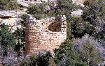 Cutthroat Castle