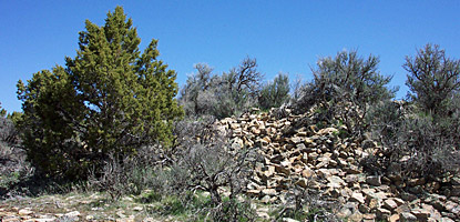 Goodman Point