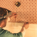 Conservation on the Truman home