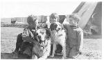 HP 3 Kids and 2 Dogs