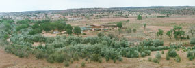 Pueblo Colorado Wash in 1996 before exotic vegetation removal. Pueblo Colorado Wash in 1996 before exotic vegetation removal.