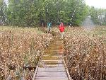 Boarwalk built by volunteers