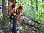 Chainsaw Training