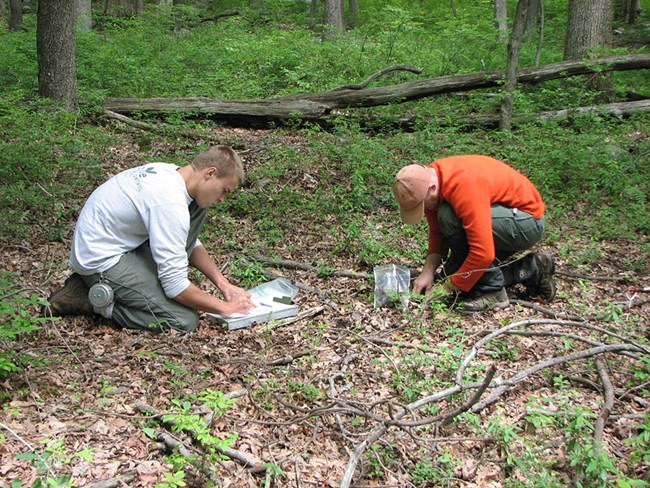 One person collecting a soil sample while another records data