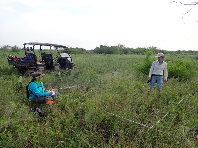 two field crew members collecting vegetation data in a grassland