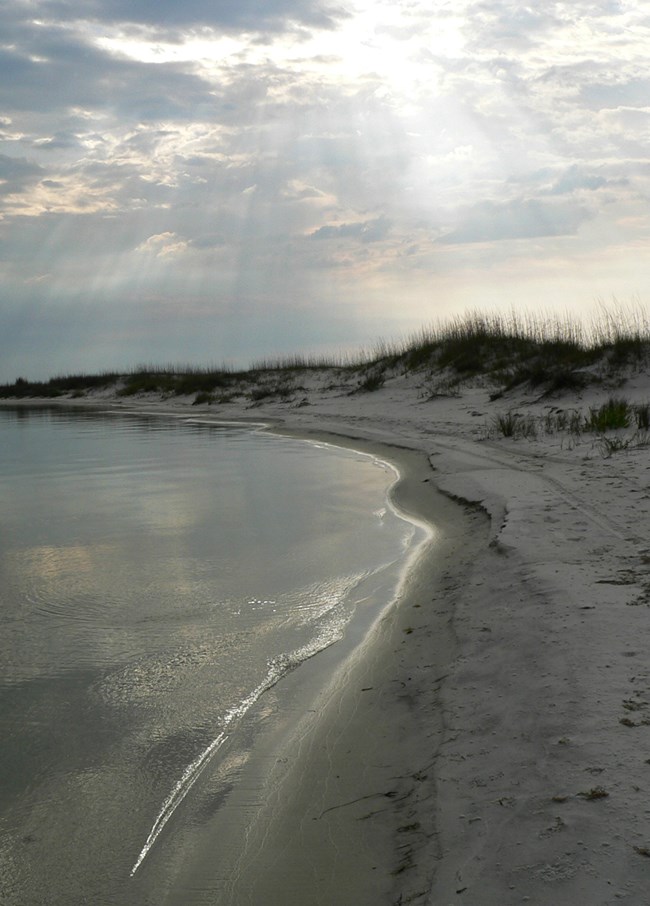 sandy beach with grasses and calm water