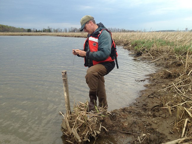 At waters edge in a marsh, a man reads a water level device.