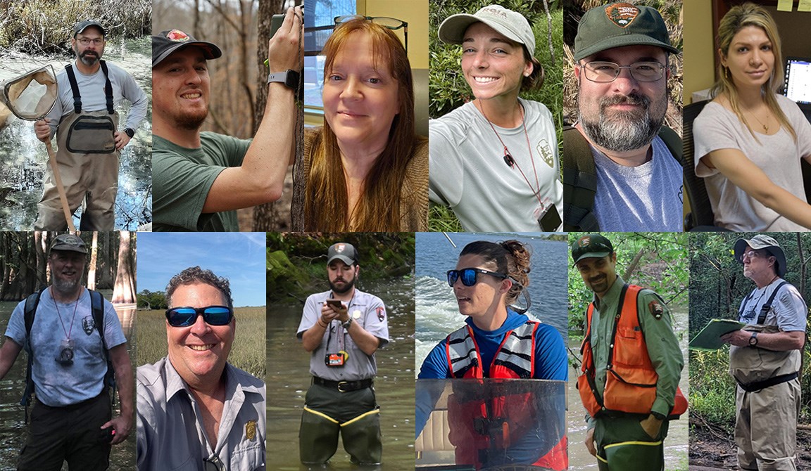 Collage of SECN staff photos