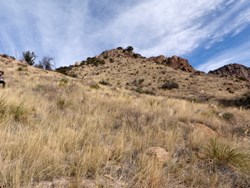 Semi-desert grassland, Chiricahua National Monument