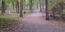 The walk from the parking area to the Illinois Monument is approximately 200 yards.